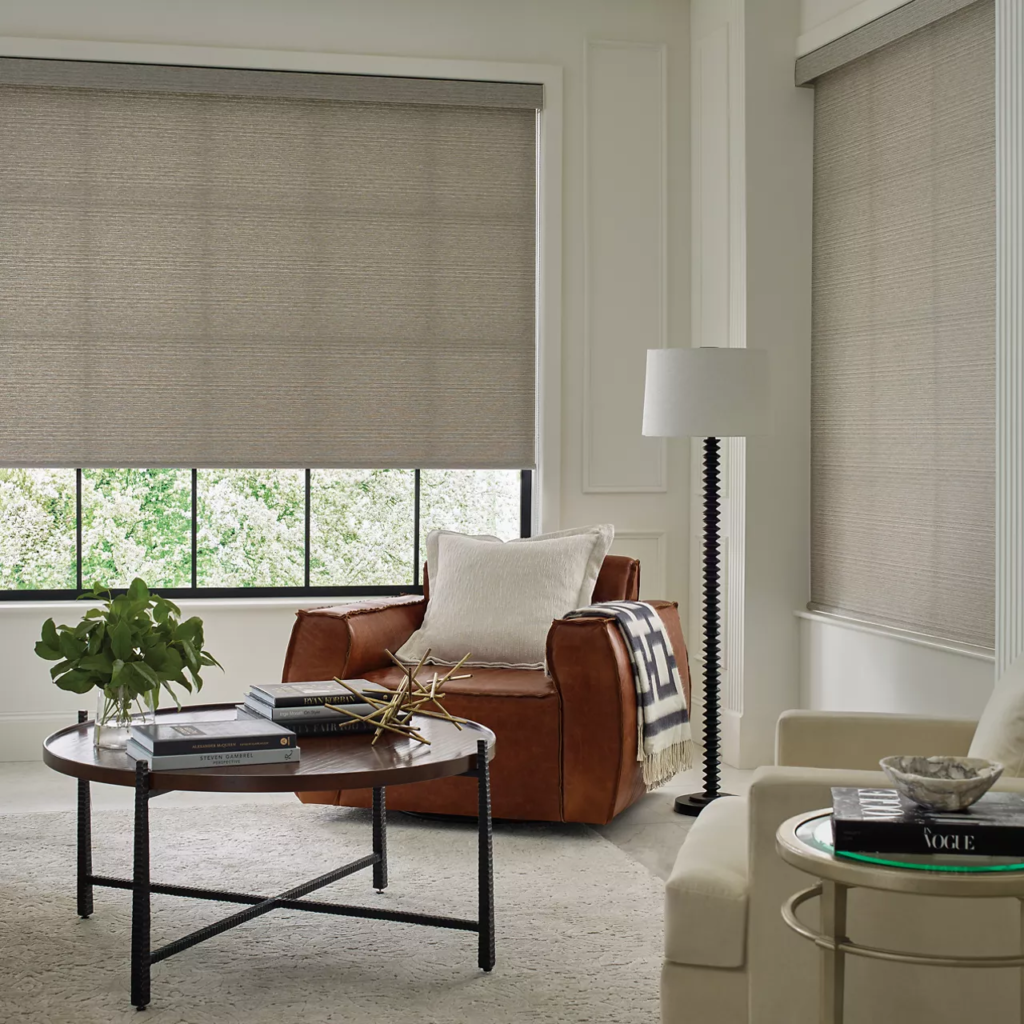 Designer Roller Shades